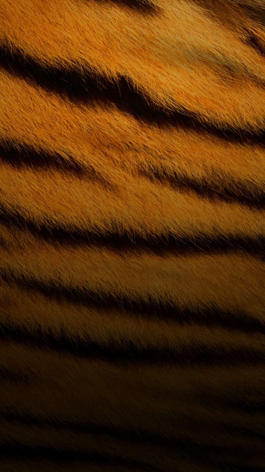Tiger Skin Pattern iPhone 6 Plus, tiger iphone HD phone wallpaper