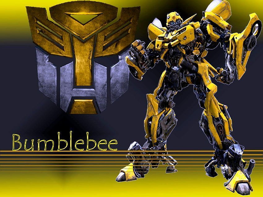 Bumblebee, bumble bee HD wallpaper