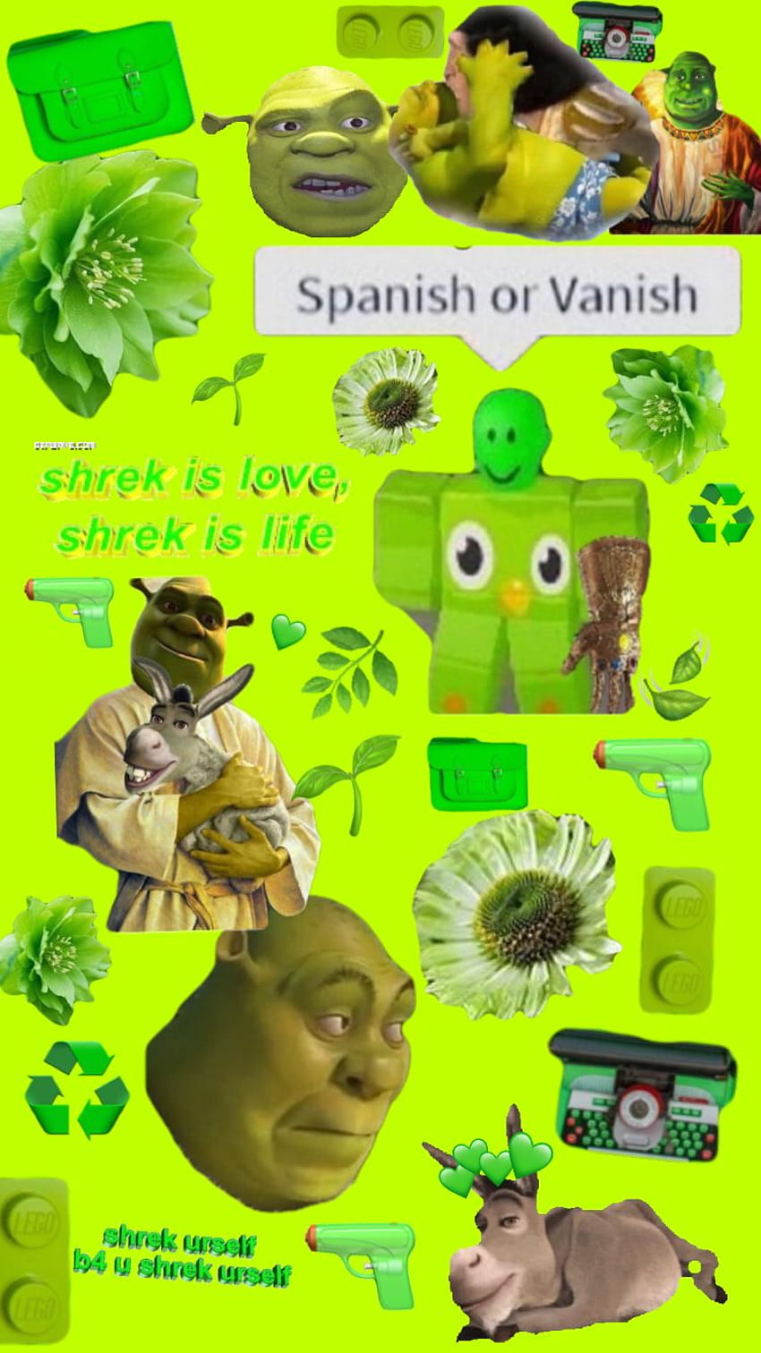 Who Likes Shrek Off Topic CodeCombat Discourse Shrek Meme HD wallpaper   Peakpx