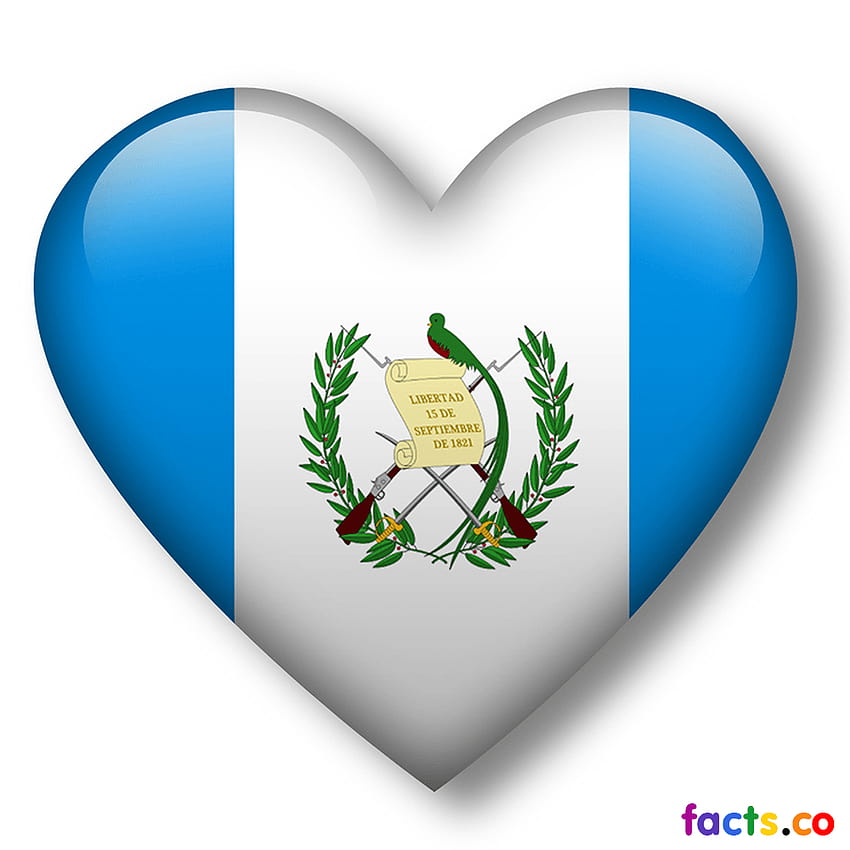Guatemala Flag Large [1000x1000] for your , Mobile & Tablet, mexico and guatemala flags together HD phone wallpaper