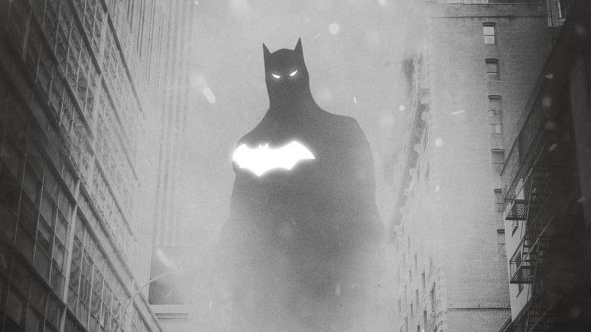 superheroes,batman,black and white,whiskers,fictional character,snapshot,justice league,eye,cat,monochrome graphy,superhero, batman black and white HD wallpaper