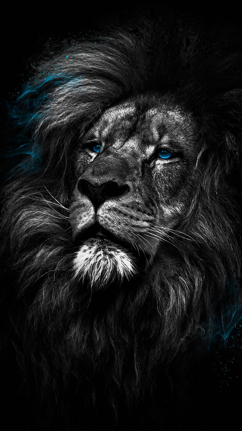 Lion Dark Amoled Android Black, iphone lion HD phone wallpaper