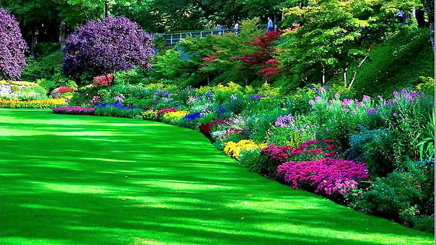 Jardin Jardin Parc Joli, parc fleuri Fond d'écran HD