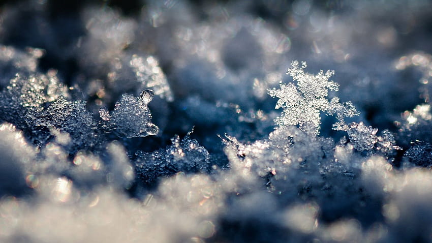 Frost melting snow winter, winter melting HD wallpaper