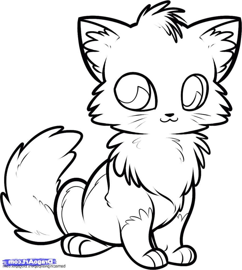 Chibi Ferret Anime Animals Kawaii Art Cat Drawing  Chibi Ferret PNG  Image  Transparent PNG Free Download on SeekPNG