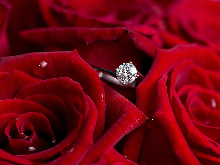12 diamond jewellery new diamond jewellery ring 619 :: Diamond Jewelry, diamond rings HD wallpaper