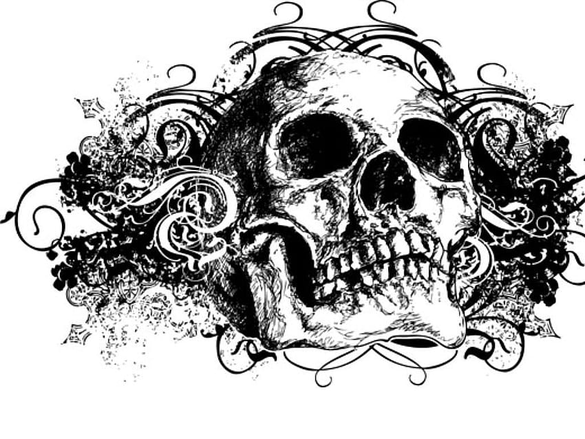 Black And White Graffiti Skull, skull graffiti HD wallpaper