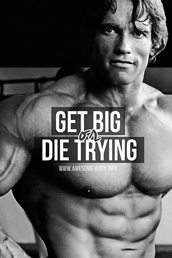 Arnold schwarzenegger bodybuilding posters HD wallpapers | Pxfuel