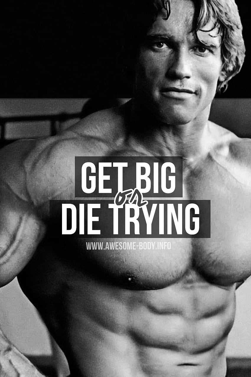 Arnold Schwarzenegger Bodybuilding Posters and Pi, arnold schwarzenegger quotes HD phone wallpaper