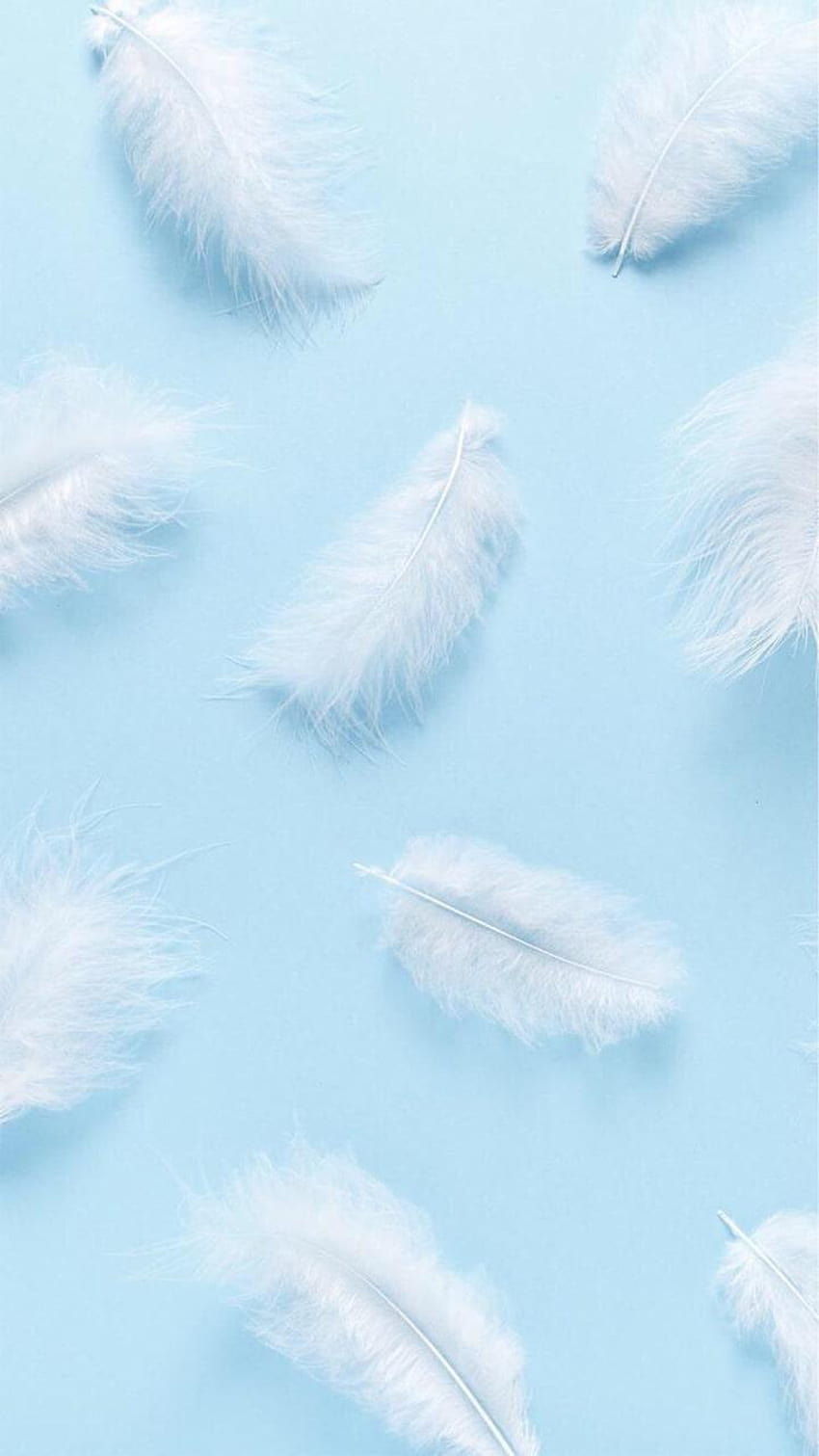 Baby blue shared by Kano, baby blue fur HD phone wallpaper | Pxfuel