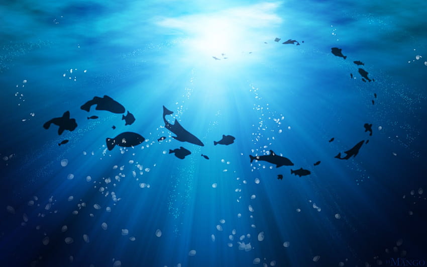4 Ocean Sea Life, anime sea HD wallpaper | Pxfuel