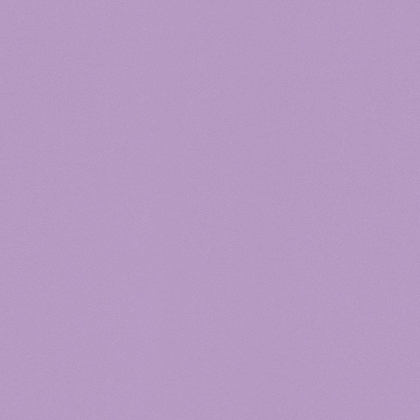 color ,violet,pink,purple,lilac,lavender, purple lilac HD phone wallpaper