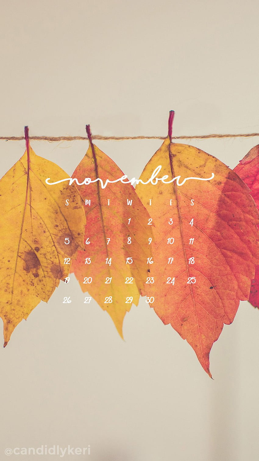 colorful leaves red orange yellow green fall November calendar 2017 you can for on … HD phone wallpaper
