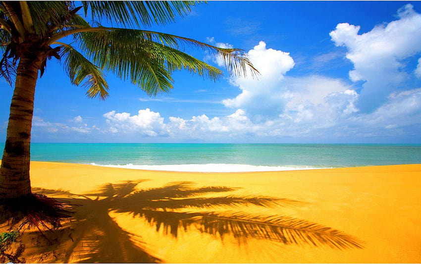 4 Beach Panorama, tropical beach panorama HD wallpaper