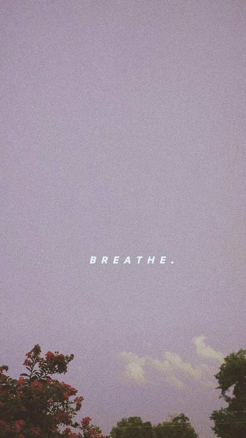 Take a second, breathe. ☆*•°, aesthetic grain HD phone wallpaper