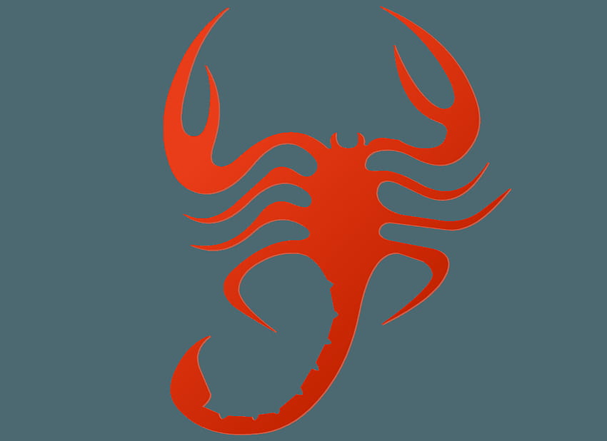 red scorpion by equivoque HD wallpaper