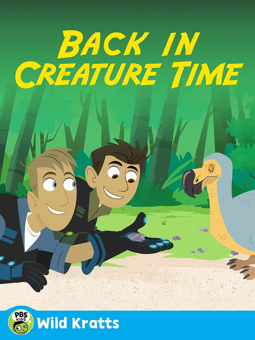 All About the Wild Kratts HD wallpaper  Pxfuel