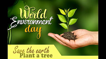 Environment day HD wallpapers | Pxfuel