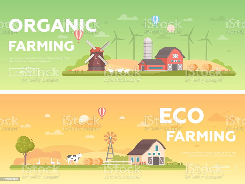 Organic Farming Set Of Modern Flat Design Style Vector Illustrations Stock Illustration HD wallpaper