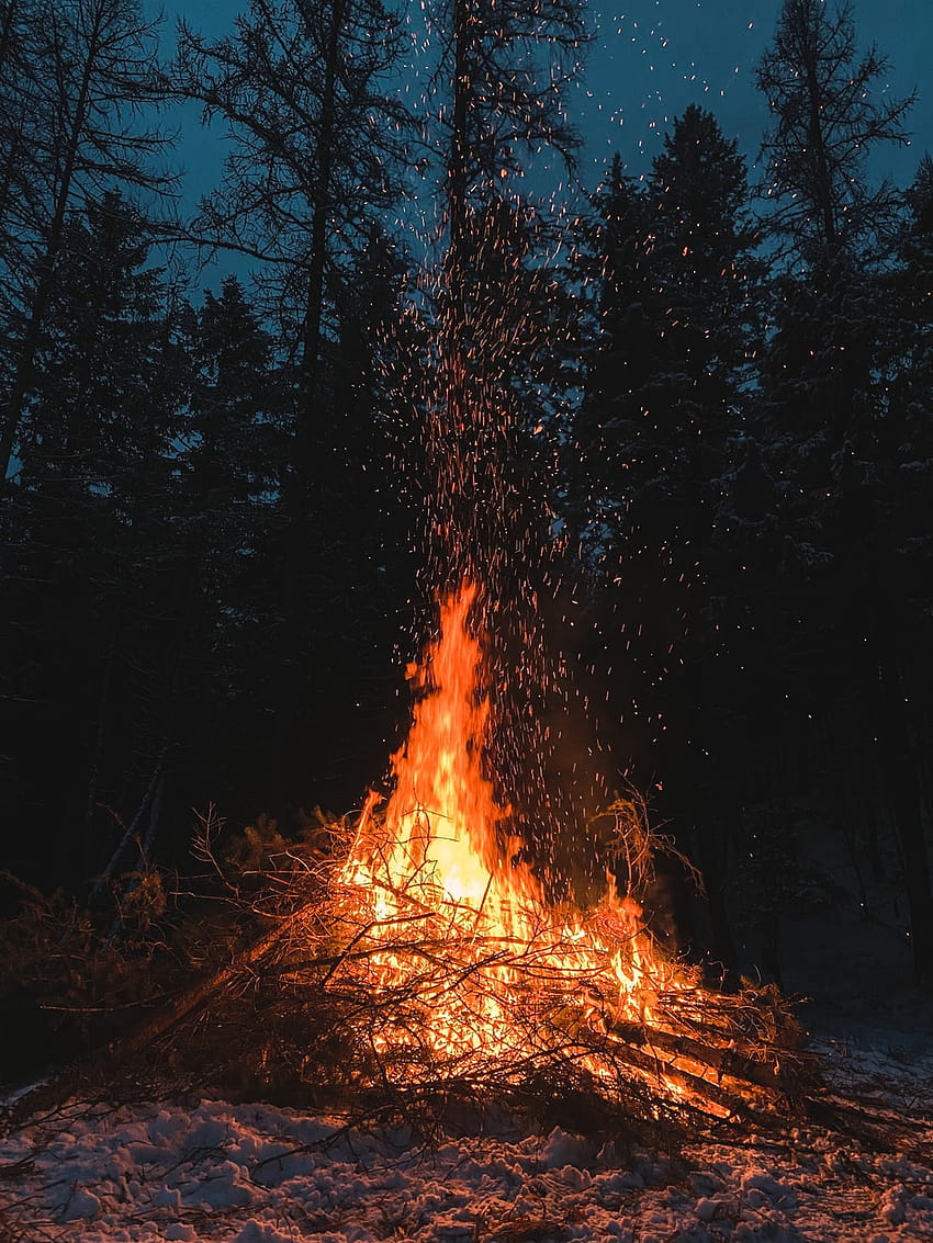 Snow Fire, winter campfire HD phone wallpaper