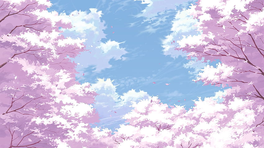 사쿠라 꽃, 꽃잎, 풍경, 하늘, 체리, 애니메이션 벚꽃 풍경 HD 월페이퍼