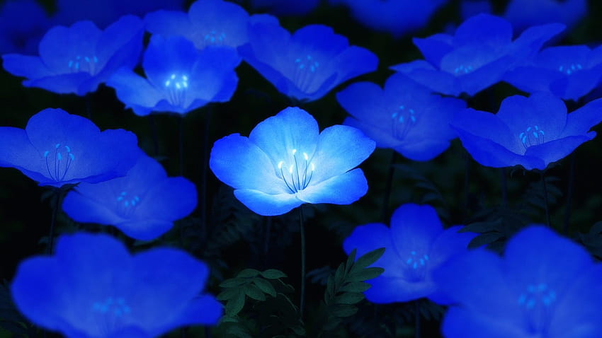Maquia: Wenn die versprochene Blume blüht / SayoAsa – Produktionsnotizen – Sakuga Blog, Maquia, wenn die versprochene Blume blüht HD-Hintergrundbild