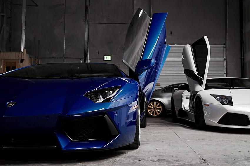 two white and blue Lamborghini vehicles inside garage –, supreme lamborghini HD wallpaper