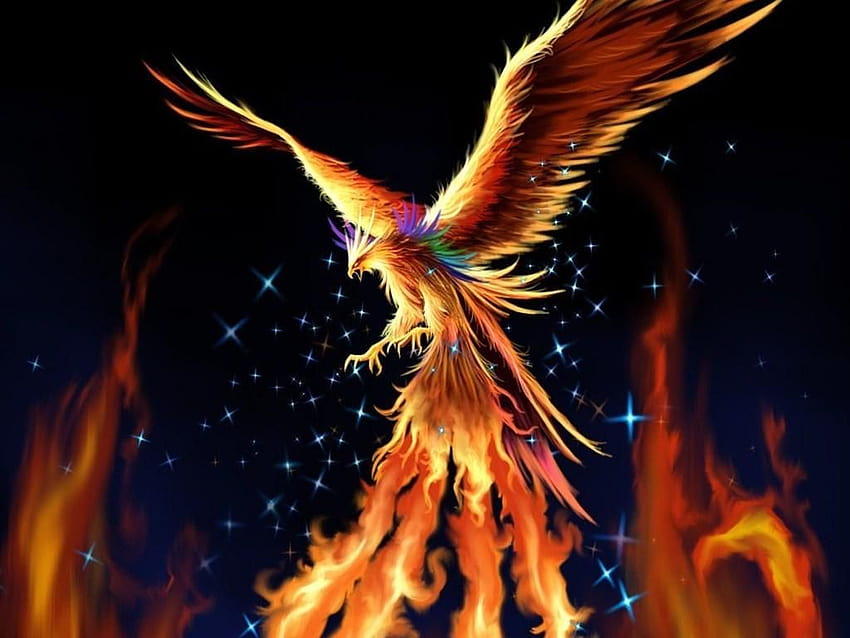 Phoenix Bird, 네온 피닉스 HD 월페이퍼