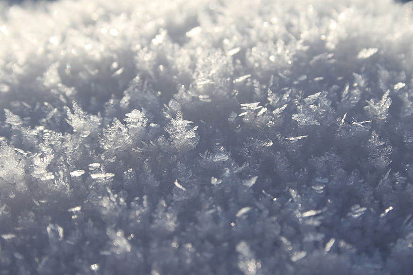Salju, Denmark, Musim Dingin, Beku, Putih, bingkai penuh, latar belakang Wallpaper HD