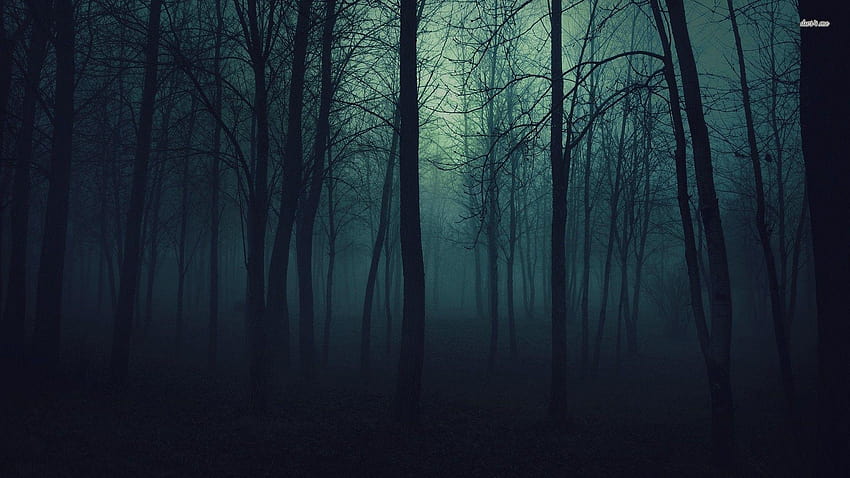 Dark Forest, aesthetic forest HD wallpaper | Pxfuel