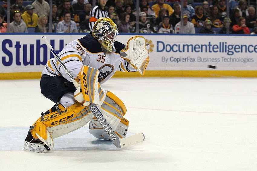 Arizona Coyotes Sign Anders Lindback To One Year Deal HD wallpaper