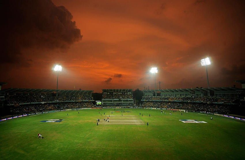 Hindistan 2011 Kriket Dünya Kupası'nı Kazandı HD duvar kağıdı