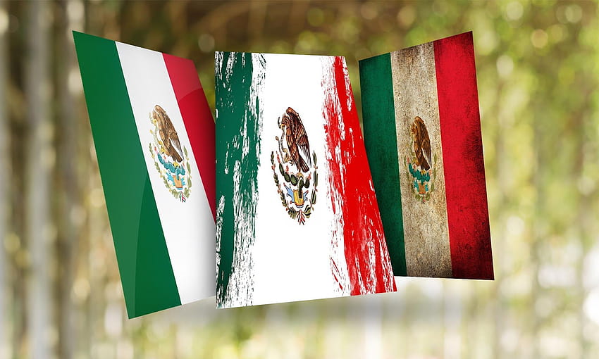 5in x 3in Mexican Flag Sticker