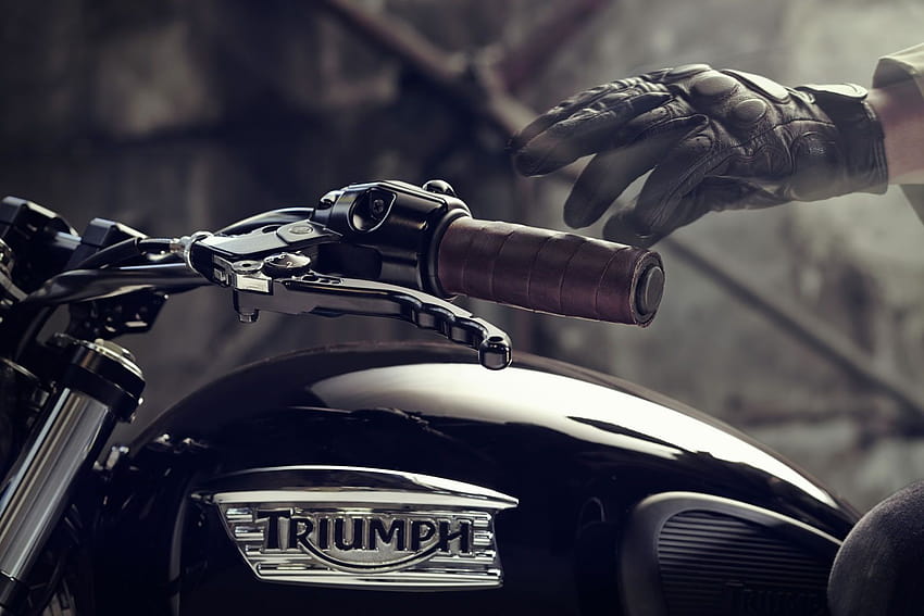 Triumph Bonneville, triumph thruxton HD wallpaper