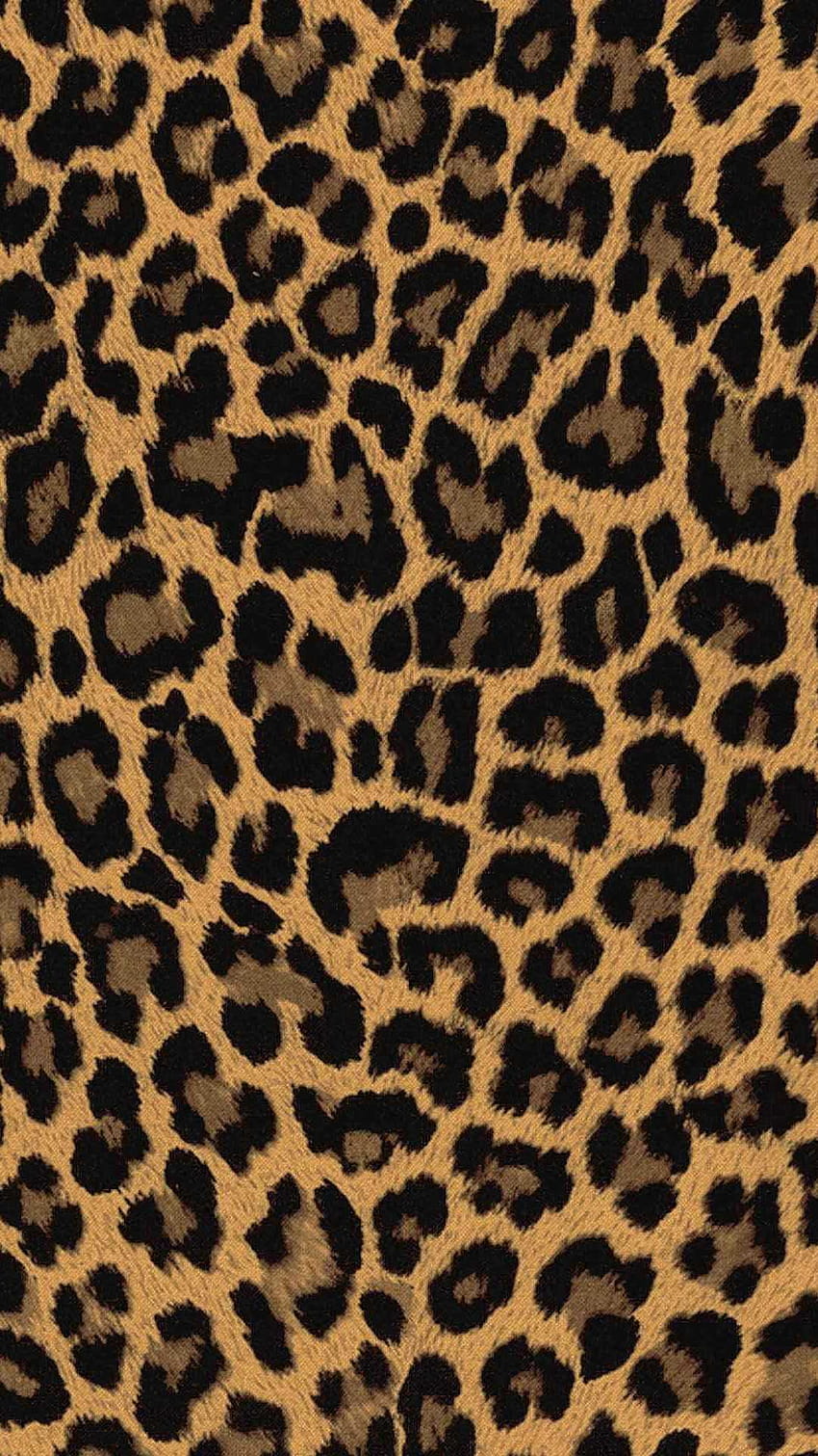 iPhone Leopard Print, estampa de leopardo Papel de parede de celular HD