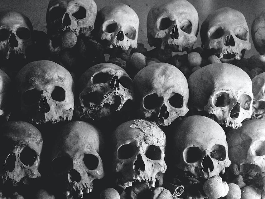 Montón de cráneos humanos · Stock fondo de pantalla