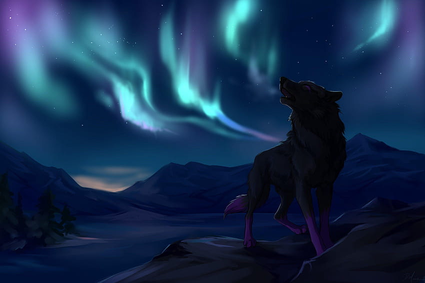 Northern lights mountains wolves star wolf, light wolf HD wallpaper
