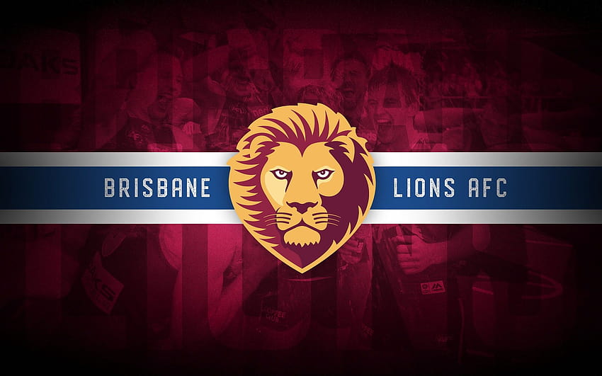 Leões de Brisbane papel de parede HD