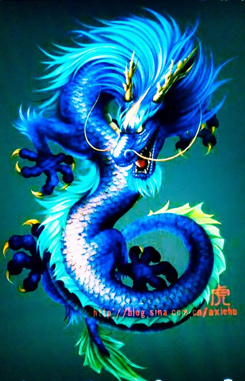 de perfil, led dragon HD phone wallpaper