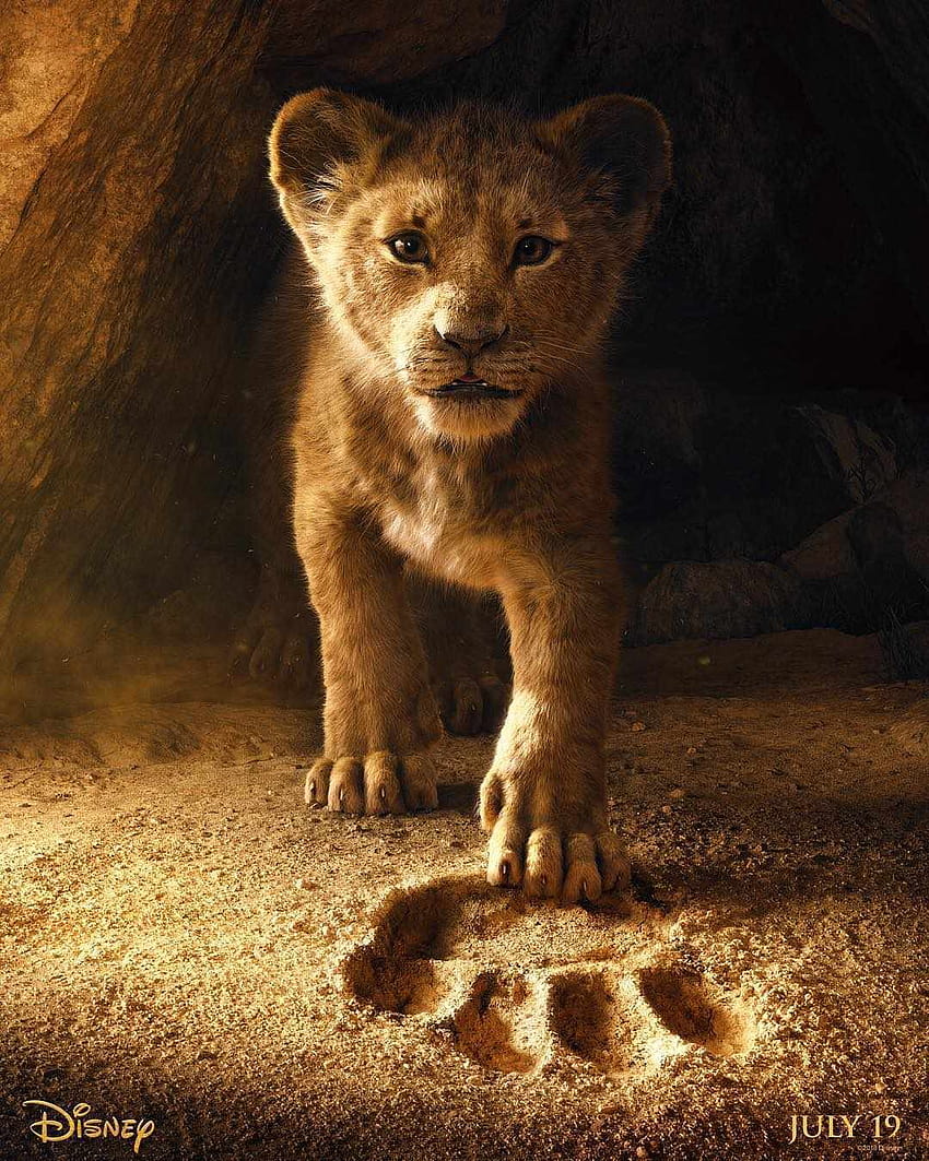 El rey león, rey león 2019 fondo de pantalla del teléfono