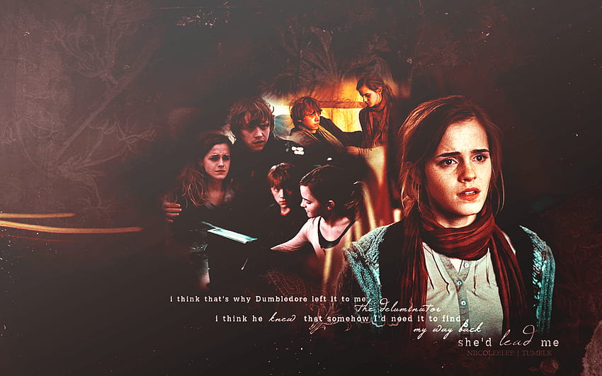 Harry Potter Love Triangle Ron and Hermione and, harry and hermione HD wallpaper