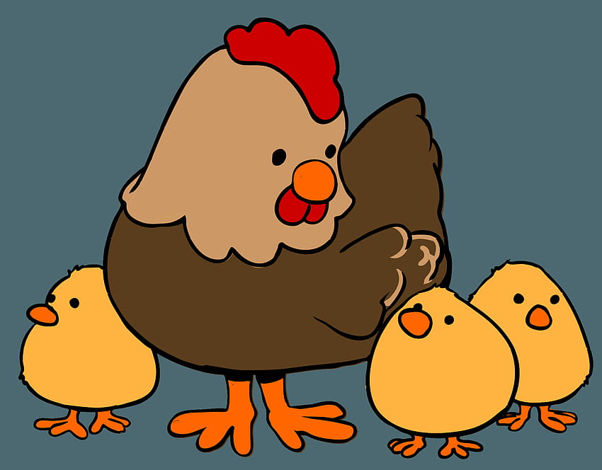 Desenho de galinha, Clip Art, Clipe, galinhas de desenho animado papel de  parede HD