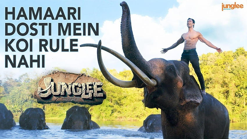 Junglee: A tale of two beasts | Hindi Movie News - Times of India