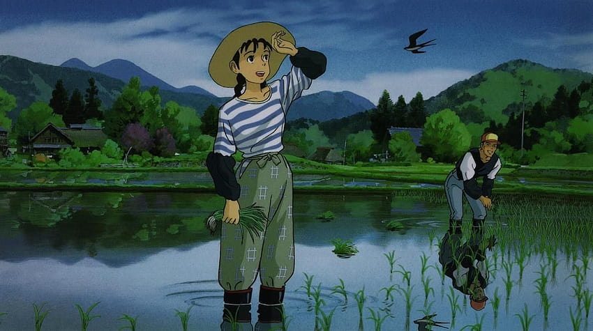 GKIDS Picks Up Studio Ghibli's 'Only Yesterday' HD wallpaper