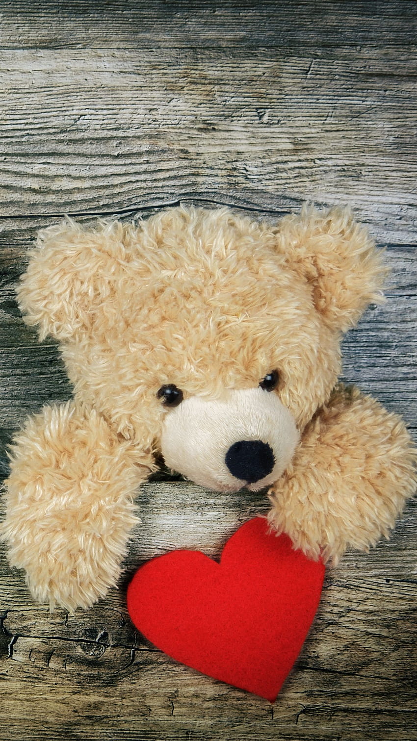 Teddy Bear, Heart, Valentines Day, Love, teddy bear aesthetic HD phone wallpaper