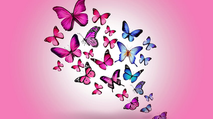 Pink Butterfly, aesthetic butterfly laptop HD wallpaper