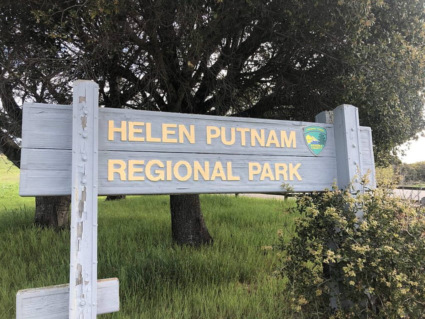 Petaluma Parks: 태양 아래 Putnam Park의 마지막 일요일, 그들은 주차장에서 쇠고기를 원합니다 HD 월페이퍼