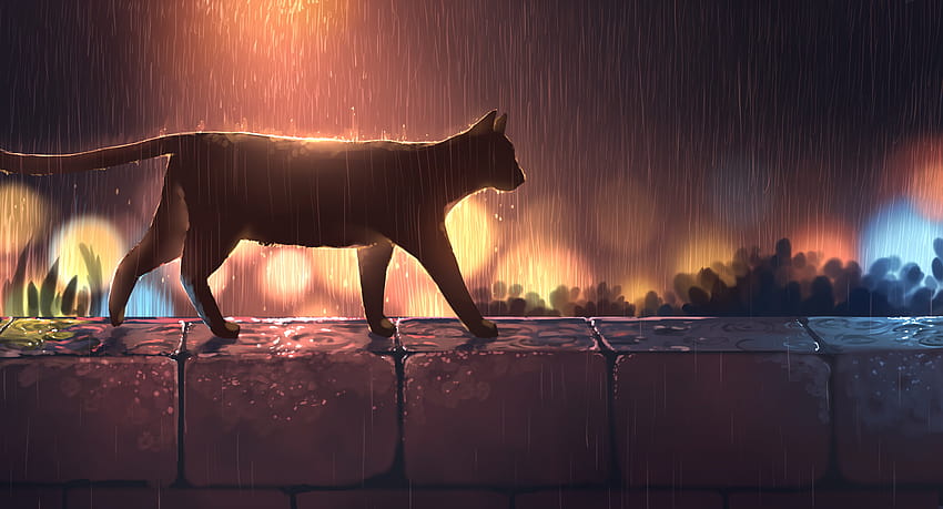 디지털 아트 작품 삽화 야간 조명 비 고양이 야경 벽 물방울 물, 고양이 밤 HD 월페이퍼