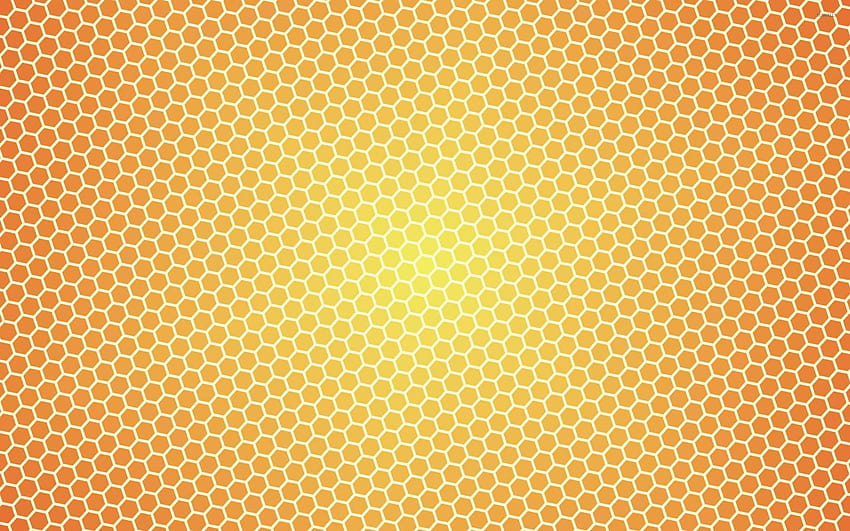 Honey 4, honey nut HD wallpaper