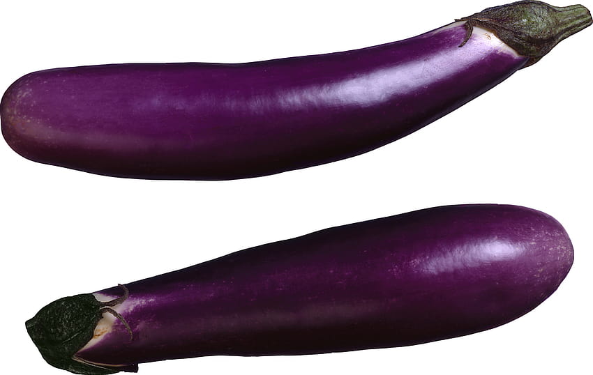 Best 6 Eggplant Backgrounds on Hip, brinjal HD wallpaper
